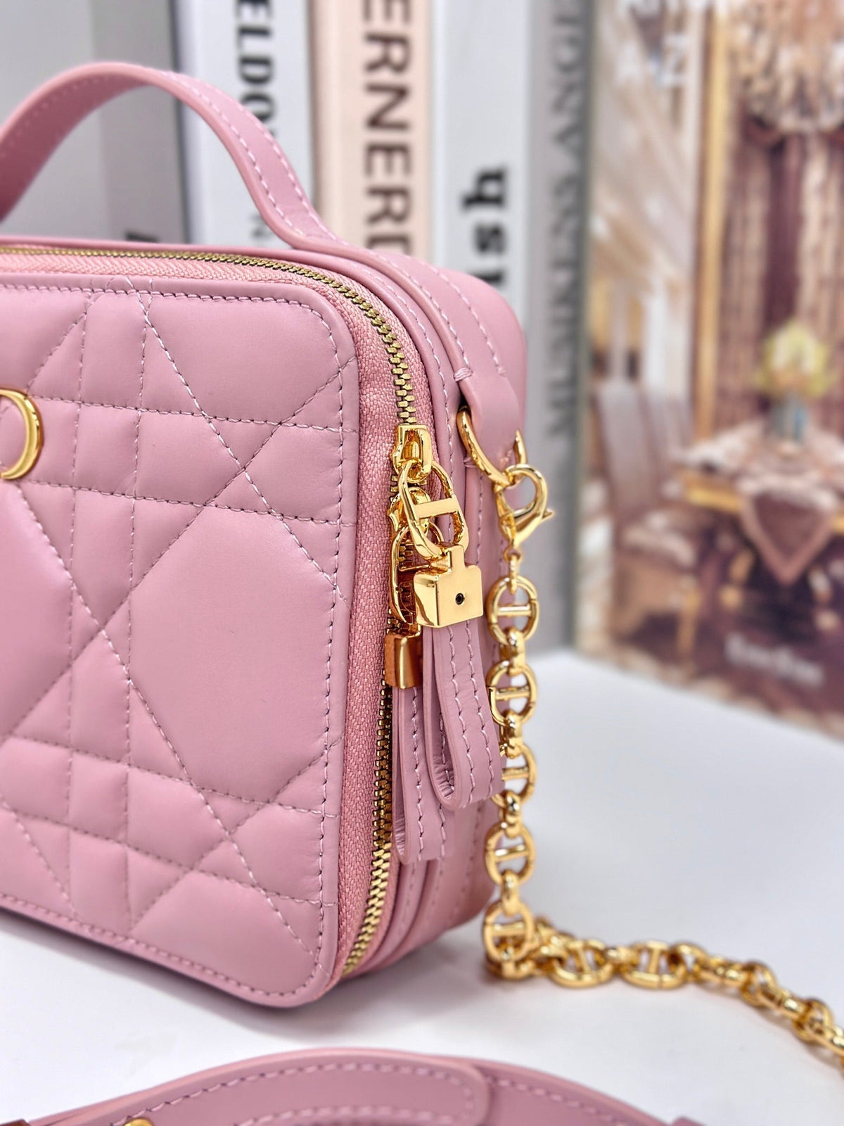 CARO BOX 19 IN LIGHT PINK CALFSKIN