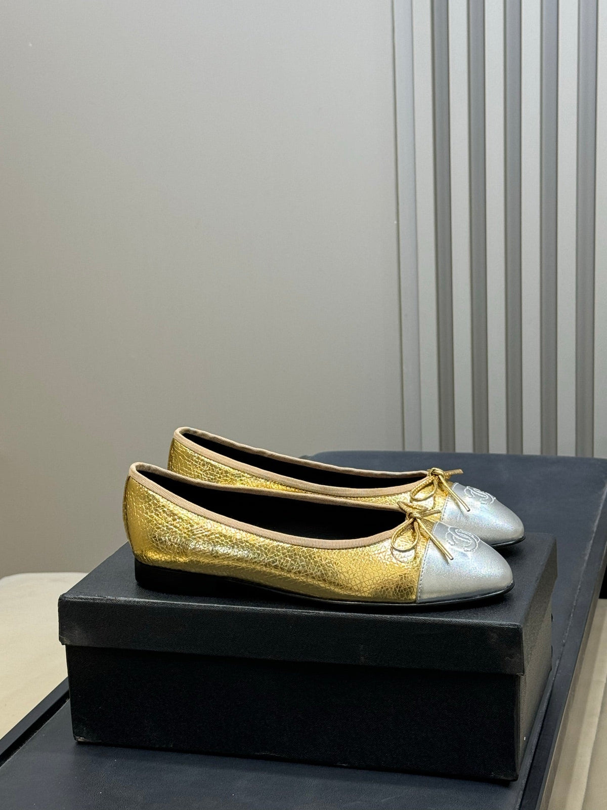 Chanel 2026 Ballet Flat Gold Silver Leather