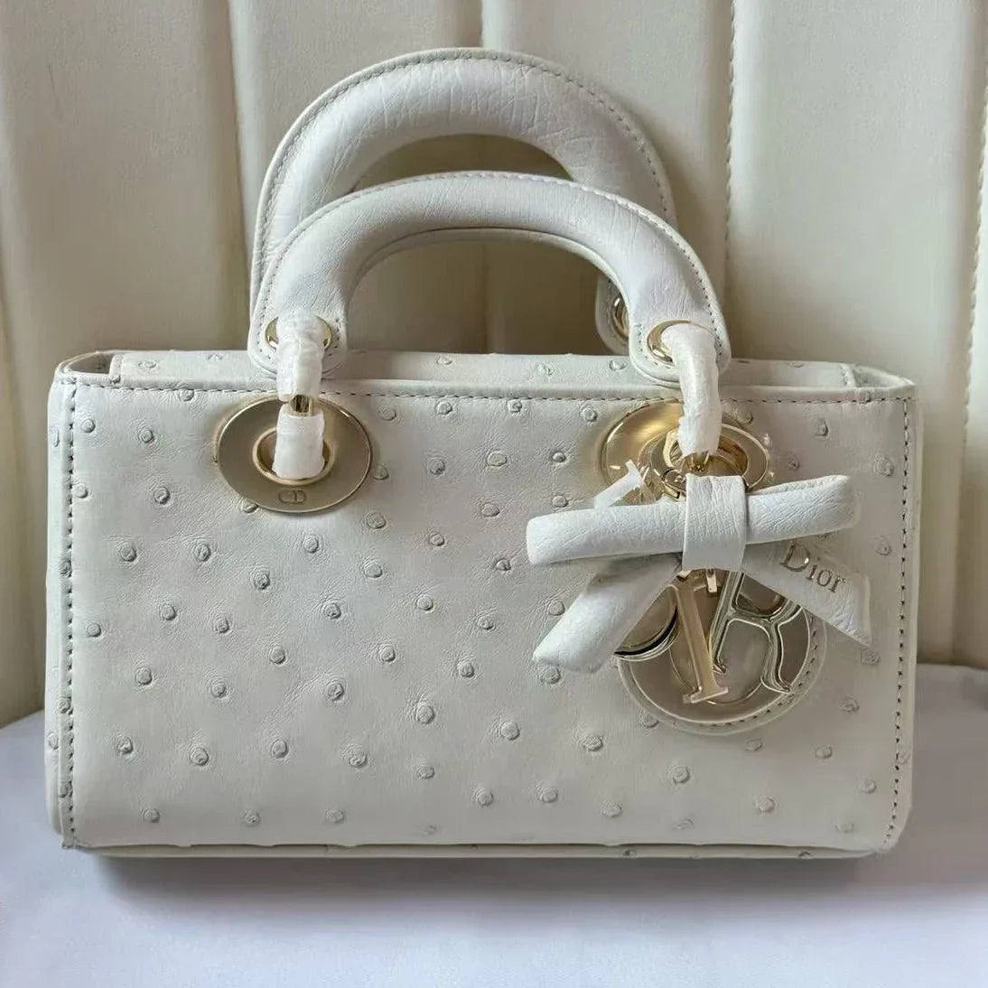 Dior 2026 Lady D-Joy Bag 19cm Ostrich Leather