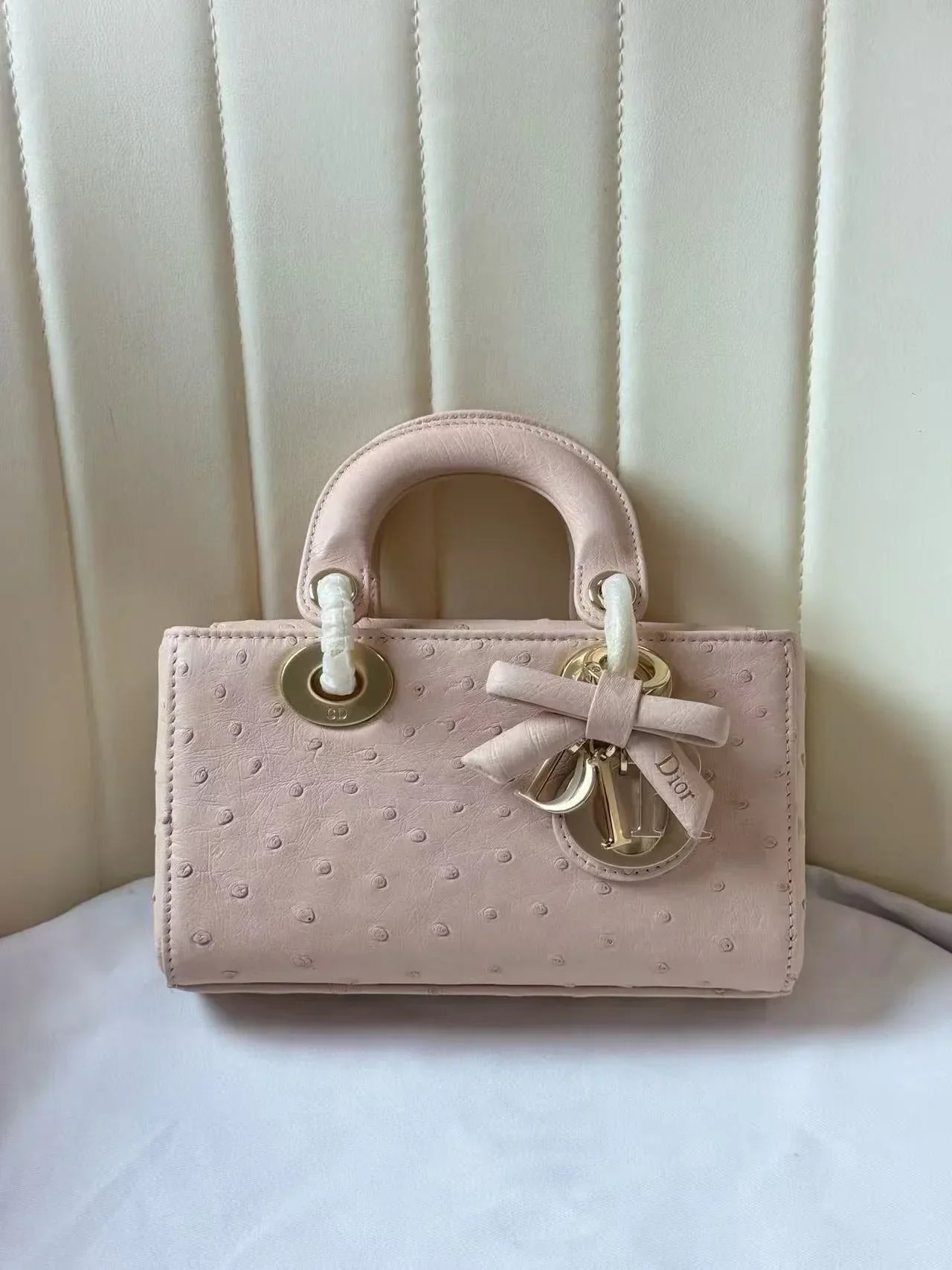 Dior 2026 Lady D-Joy Bag 19cm Ostrich Leather