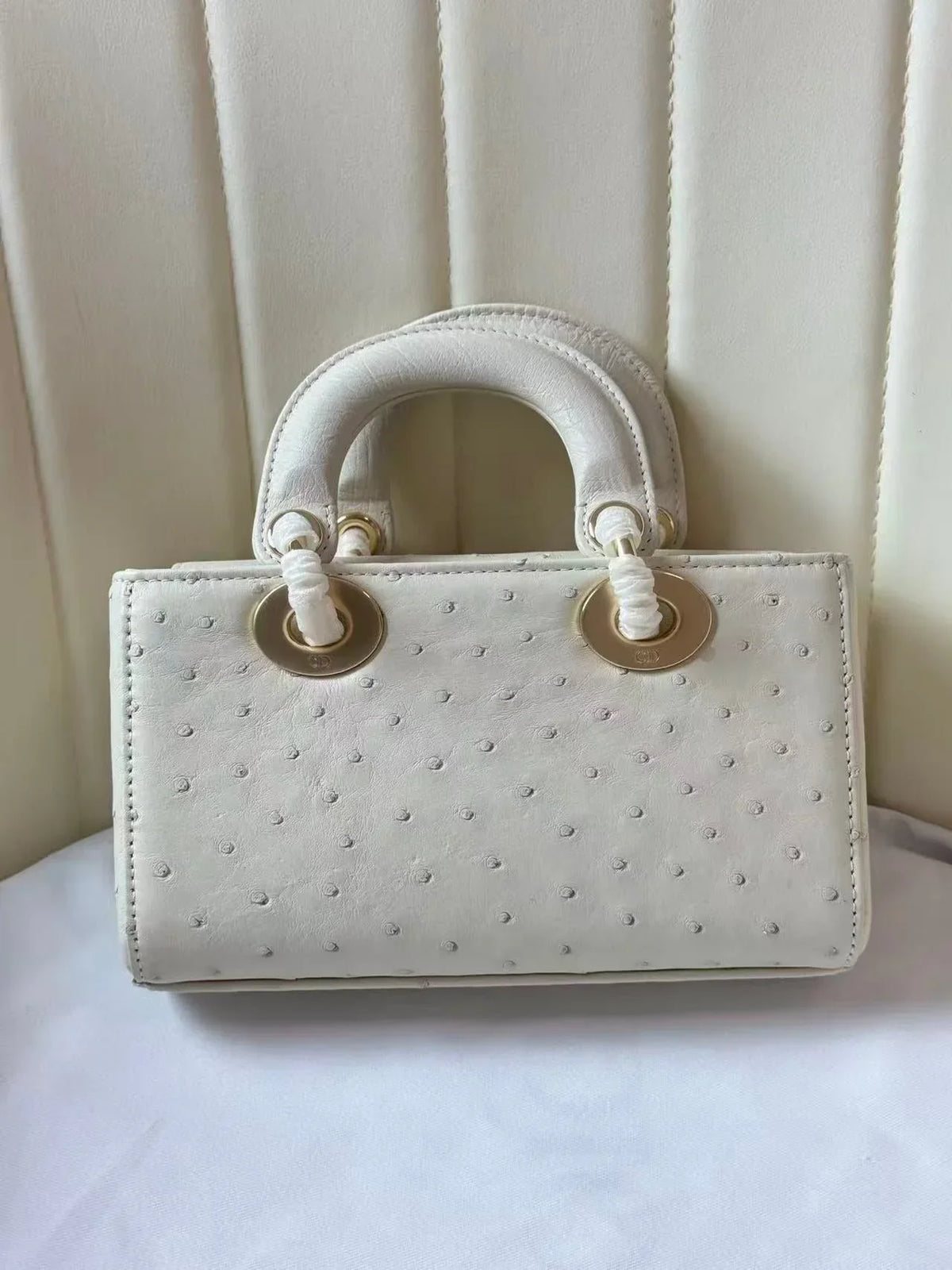 Dior 2026 Lady D-Joy Bag 19cm Ostrich Leather