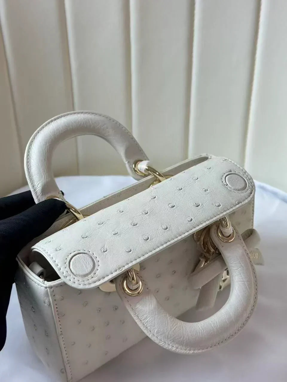 Dior 2026 Lady D-Joy Bag 19cm Ostrich Leather